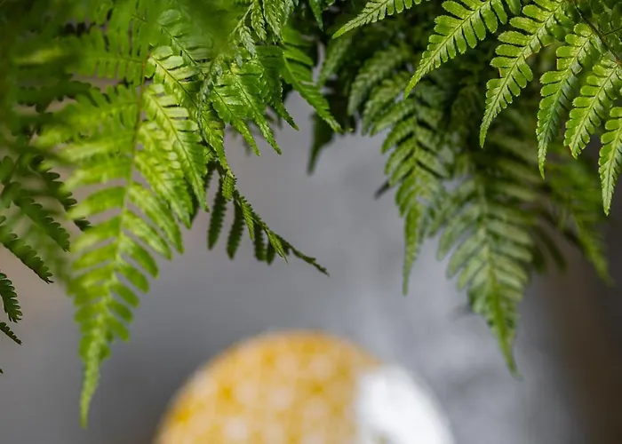 Vintage Bracka 6 * Kraków